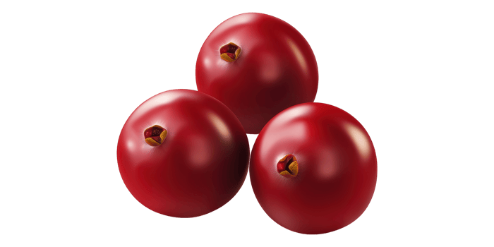 3D Group Of Red Berries Isolated on Transparent Background png