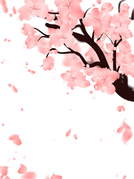 Pink sakura falling petals background, spring flower blossom frame. png