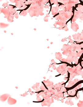 Sakura Frame Illustration Trees, Cherry Blossom Background, Spring Falling petals Border. png