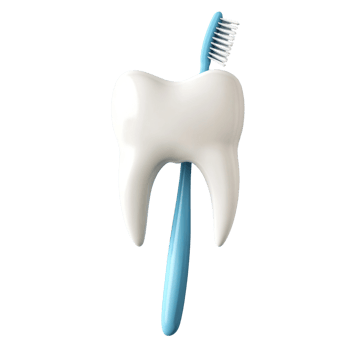 Toothbrush and Tooth Oral Hygiene Cleanliness png