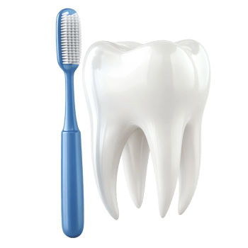 A single tooth and a blue toothbrush for dental hygiene png