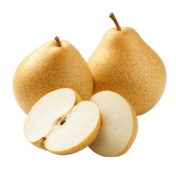 Freshly sliced Asian pear displayed alongside whole pears on a clean, bright background emphasizing their natural texture and color, Chinese pear or Asian pear with sliced isolated on transparent png