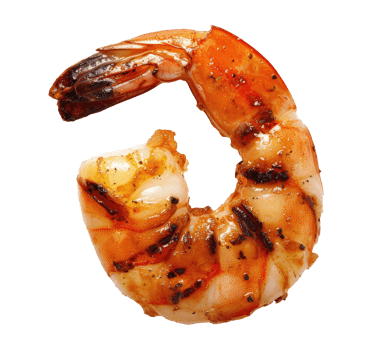 One grilled shrimp, cut out png