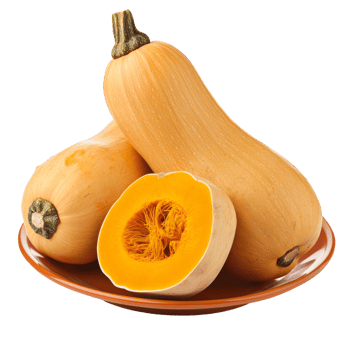 Fresh butternut squash arranged on a plate, isolated against a clean transparent background for culinary presentation, butternut squash in a plate isolated on transparent background png
