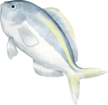 watercolor sea fish aquarium png