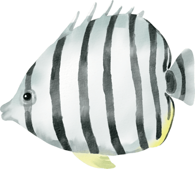 watercolor butterflyfish illustration sea element png