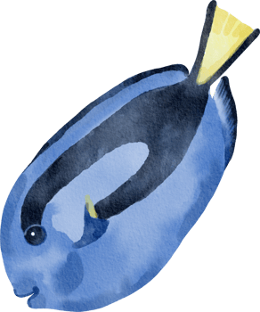watercolor blue tang png