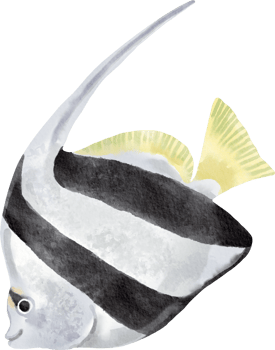 watercolor moorish idol png