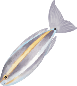 Hand-Painted Watercolor Illustration of a Fish png