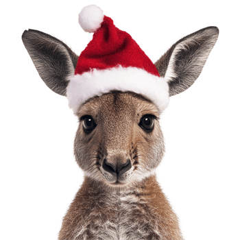 A kangaroo celebrates Christmas wearing a festive red and transparent Santa hat on a transparent background, Kangaroo wearing a christmas hat isolated on transparent background png