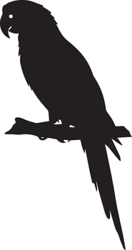silhouette black isolated Parrot Bird vector