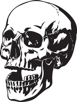 Skull Illustration silhouette black isolated on white background vector