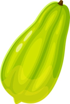Single, whole, unripe papaya fruit with green peel and stem, isolated on a white background, showcasing its natural appearance and freshness vector