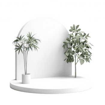 A minimalistic display featuring lush green plants in a bright, modern setting. png