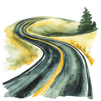 Winding Road Through Golden Fields and Trees png