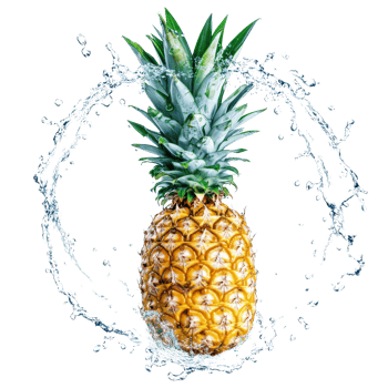 Fresh pineapple surrounded by a vibrant water splash in a circular shape isolated against a transparent background, Pineapple with water splash in circle shape isolated png