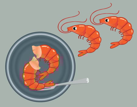 beautiful prawn fry with simple background art vector