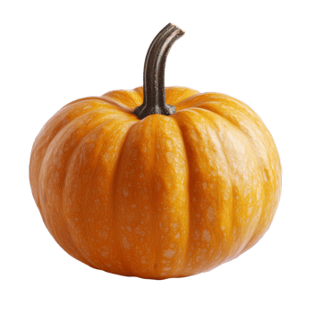 A bright orange Halloween pumpkin isolated on transparent background for seasonal decoration and festivities, halloween pumpkin isolated on transparent png