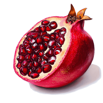 Vibrant and luscious pomegranate cut in half reveals juicy ruby seeds against a clean transparent background, Vibrant and Luscious Pomegranate on transparent background png