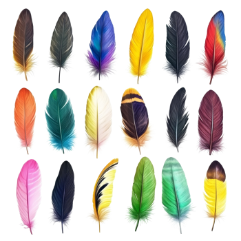 A vibrant collection of colorful feathers displayed on a clean transparent background, showcasing natural beauty and variety in texture and color, colorful feathers isolated on transparent background png