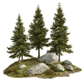 A tranquil spruce forest with rocky terrain showcasing natures beauty in a serene and isolated setting, spruce forest with rocks, file of isolated object on transparent background png