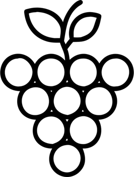 Grapes in outline icon style, food and drinks theme. png