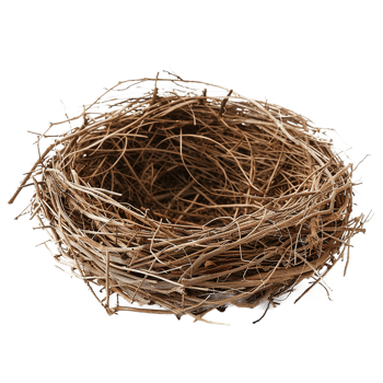 Empty birds nest twigs nature home brown png