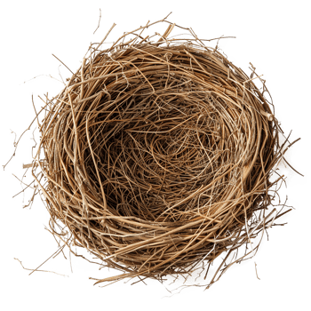 Empty birds nest twigs brown home png