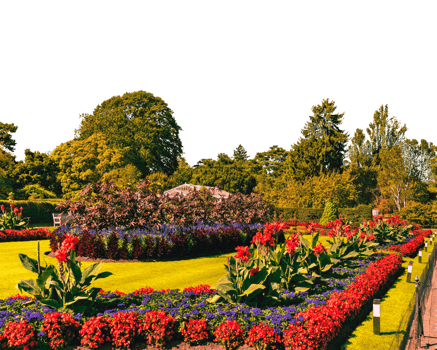 A garden with many flowers and trees isolated on transparent background png