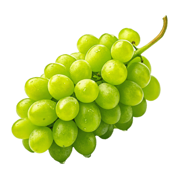 Fresh Green Grapes Cluster with Glossy Skin and High Detail Photography png