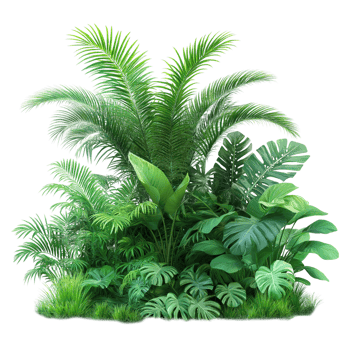 Lush green tropical plants bush, isolated on transparency background png
