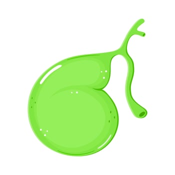 Gallbladder. hand drawn cartoon kawaii character illustration icon. Isolated on white background. Gallbladder concept vector