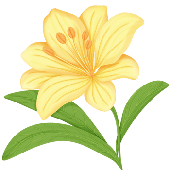 Yellow flower clipart png