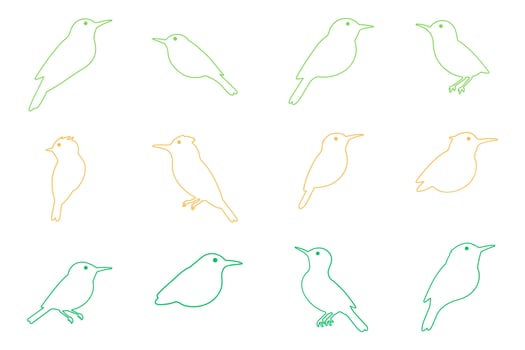 Outline Common Tailorbird Illustration Design Set vector