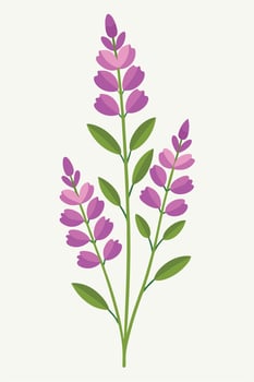 Purple Lupine Flowers, Botanical Illustration, Floral Design, Spring Blooms, Nature Art, Simple Grip vector