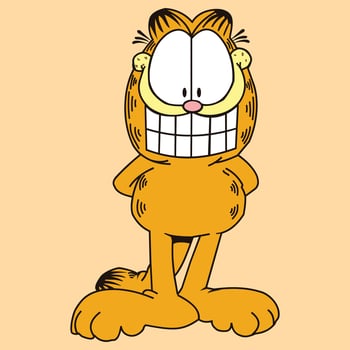 Garfield The Cat vector