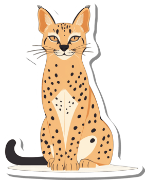A Spotted Serval Cat Sitting Gracefully png