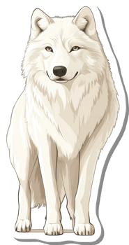 Majestic Arctic Wolf Standing Proudly Displayed png