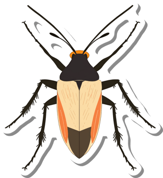 Detailed Illustration of a Unique Beige And Orange Insect png