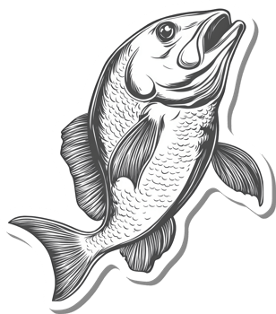 A detailed illustration of a leaping fish png