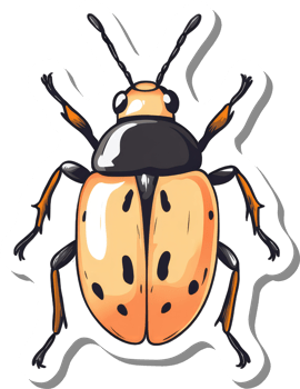 A Detailed Illustration of an Orange Ladybug Beetle png