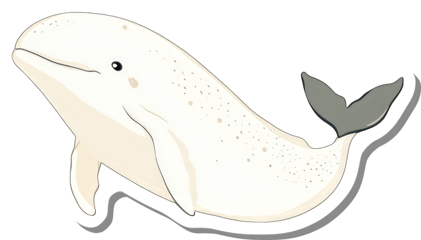 Adorable White Whale Illustration Shows Marine Life png