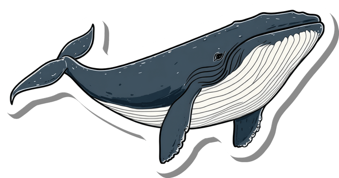 A Stunning Illustration Of A Humpback Whale Swimming png