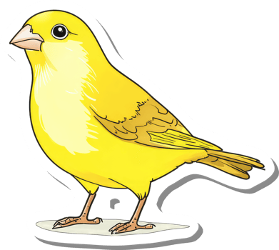 A Yellow Canary Bird Illustration Displayed png