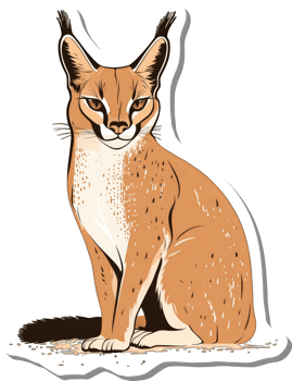 A Caracal Cat Sitting Calmly on the Ground png