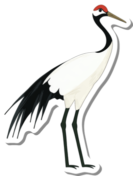 A Red Crowned Crane Bird Illustration png