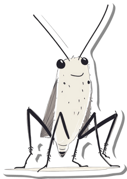 A Happy Cartoon Insect Stands On The Ground png