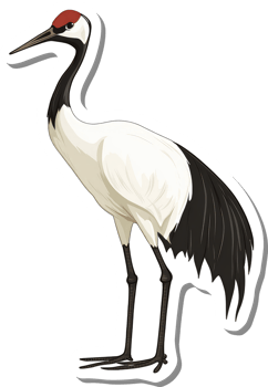 Red Crowned Crane Bird Sticker Illustration png