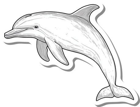 A leaping dolphin gracefully swims through the ocean png
