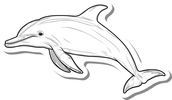 A Line Drawing of a Bottlenose Dolphin Leaping png